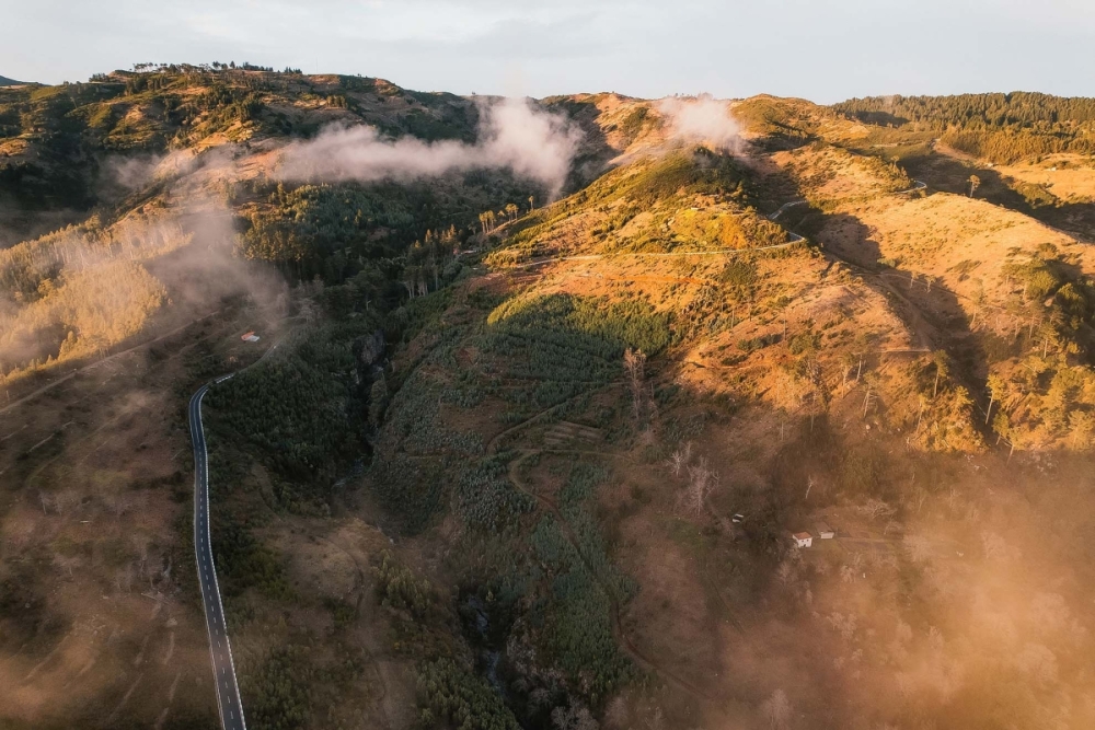 Madeira